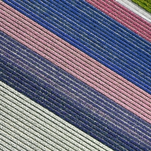 Flower texture