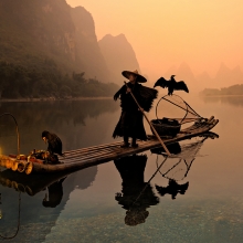 Cormorant Fishing