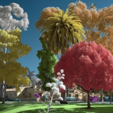 The Village
