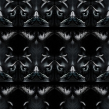 Inexplicable Faces 