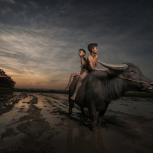 Looking for my horse