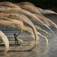 Waving Nets