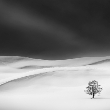 Solitude