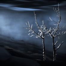 Frozen Delicacy