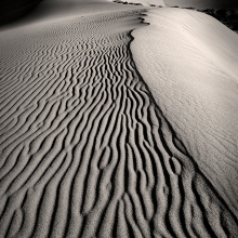 Sand Dune