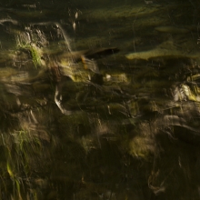 Faces of the river