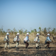 Cambodia's Landmine Crisis and the Hero Rats