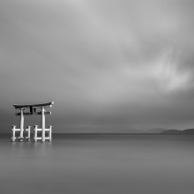 Torii Light