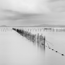 Biwa Fishing Nets 