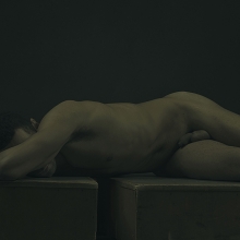 Cognitive Bodies
