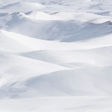 Powder