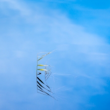 A Moment of Reflection