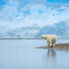 Glacier Boy