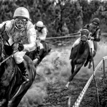 Winning Horse