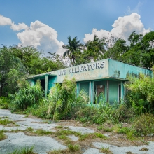 Lost Alligators