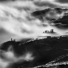  Essay Monochrome Landscapes  of China 