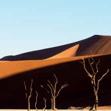 The Deadvlei 