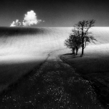 Shadows of light_B