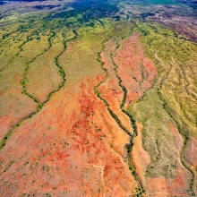 Arid
