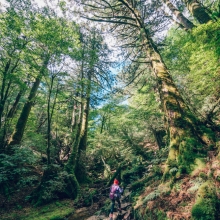 take me to the adventure.