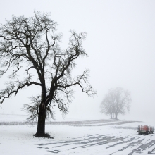 Winter Melt