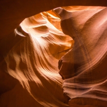 Animals and Saints in Antelope Canyon