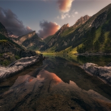 From the Fairyland