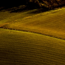 Rural landscape, le Langhe.