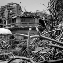 Hato: destruction and a strange silence