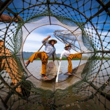 Into the net