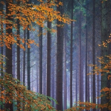 Fascinating Lighting