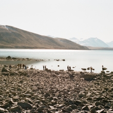 Lake Tekapo Shoreline