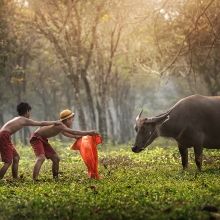 No Electronic pollution childhood