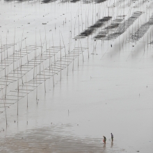 Tidal Land
