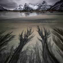 The Patterns of Skagsanden