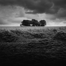 Island among the waves