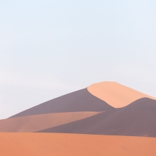 Desert Essential.