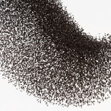 Murmuration