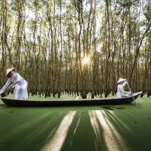 Tra Su Cajuput Forest