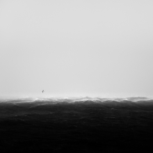 The Arctic Storm