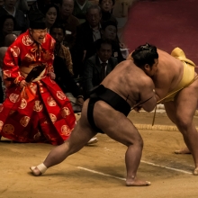 Sumo wrestlers
