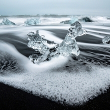 Ice Poodle