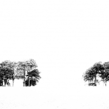 From the Series 