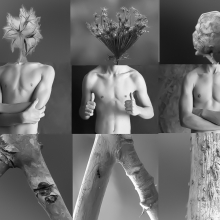 Tree Brothers