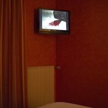 Tribute to David Lynch