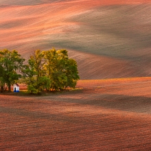 Oasis II