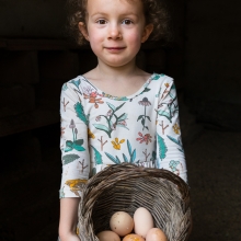 Gathering Eggs