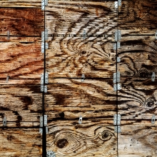 Wood whorls