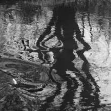 Shadows