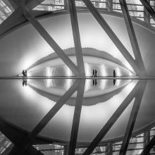 The Eye and the Fish
